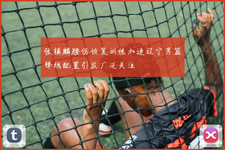 张镇麟腰伤恢复训练加速辽宁男篮锋线配置引发广泛关注