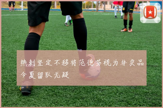 热刺坚定不移将范德芬视为非卖品今夏留队无疑