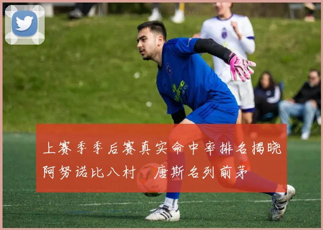 上赛季季后赛真实命中率排名揭晓阿努诺比八村塁唐斯名列前茅