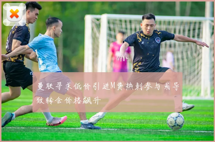 曼联寻求低价引进M费热刺参与或导致转会价格飙升